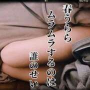 ヒメ日記 2025/04/18 06:14 投稿 すみれ 梅田ゴールデン倶楽部