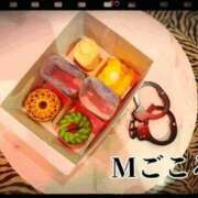 ヒメ日記 2025/10/28 00:14 投稿 すみれ 梅田ゴールデン倶楽部