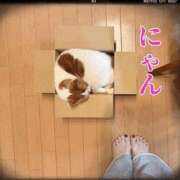 ヒメ日記 2025/11/01 09:14 投稿 すみれ 梅田ゴールデン倶楽部