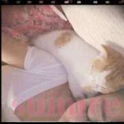 ヒメ日記 2025/11/04 17:04 投稿 すみれ 梅田ゴールデン倶楽部