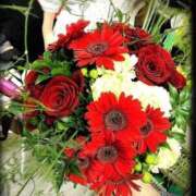 ヒメ日記 2026/02/17 11:57 投稿 すみれ 梅田ゴールデン倶楽部