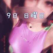 ヒメ日記 2026/08/08 04:12 投稿 すみれ 梅田ゴールデン倶楽部