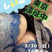 ヒメ日記 2025/03/29 15:44 投稿 椎名えむ Prae(プラエ)