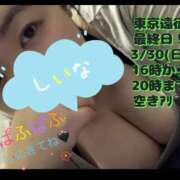 ヒメ日記 2025/03/30 10:29 投稿 椎名えむ Prae(プラエ)