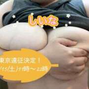 ヒメ日記 2025/11/11 14:43 投稿 椎名えむ Prae(プラエ)