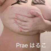 ヒメ日記 2024/12/20 17:39 投稿 藤井はるこ Prae(プラエ)