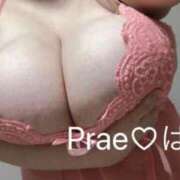 ヒメ日記 2024/12/22 13:31 投稿 藤井はるこ Prae(プラエ)