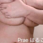 ヒメ日記 2025/01/09 11:47 投稿 藤井はるこ Prae(プラエ)
