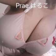 ヒメ日記 2025/01/14 13:43 投稿 藤井はるこ Prae(プラエ)