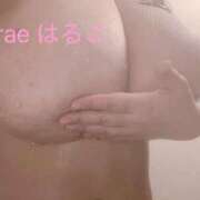 ヒメ日記 2025/02/26 11:44 投稿 藤井はるこ Prae(プラエ)