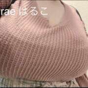 ヒメ日記 2025/02/28 23:24 投稿 藤井はるこ Prae(プラエ)