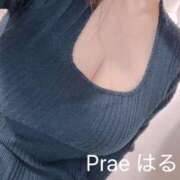 ヒメ日記 2025/03/01 10:46 投稿 藤井はるこ Prae(プラエ)