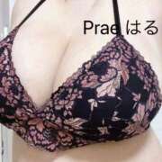ヒメ日記 2025/04/04 13:13 投稿 藤井はるこ Prae(プラエ)