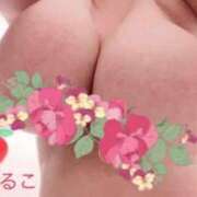 ヒメ日記 2025/04/28 13:28 投稿 藤井はるこ Prae(プラエ)