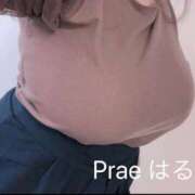 ヒメ日記 2025/05/12 11:59 投稿 藤井はるこ Prae(プラエ)