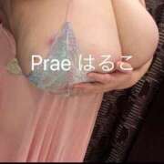 ヒメ日記 2025/05/17 20:45 投稿 藤井はるこ Prae(プラエ)