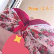 ヒメ日記 2025/08/18 11:09 投稿 藤井はるこ Prae(プラエ)