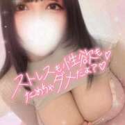 ヒメ日記 2026/09/21 09:31 投稿 美優 ROYAL　GRACE