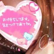 ヒメ日記 2025/11/09 11:20 投稿 まなみ 熟女の風俗最終章 蒲田店