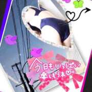 ヒメ日記 2026/04/08 11:30 投稿 まなみ 熟女の風俗最終章 蒲田店