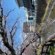 ヒメ日記 2025/04/18 22:24 投稿 天海ゆき えっちなおくさん -岩国・周南・防府-