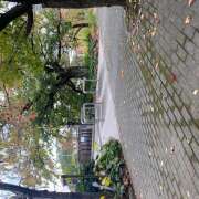 天海ゆき 誕生日なんです えっちなおくさん -岩国・周南・防府-