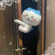 ヒメ日記 2025/04/18 21:18 投稿 池上　はるか スッキリ商事