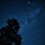 ヒメ日記 2025/12/28 02:02 投稿 池上　はるか スッキリ商事