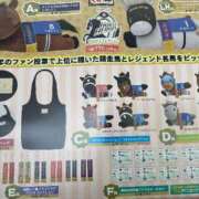 ヒメ日記 2026/06/13 10:38 投稿 池上　はるか スッキリ商事