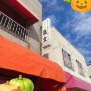池上　はるか 銚子最高🤍 スッキリ商事