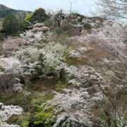 ヒメ日記 2025/04/05 08:43 投稿 かえで☆史上最高峰の超エロ奥様☆ PREMIUM萌え可愛いチョコレート～全てのステージで感動の体験を～