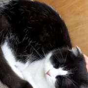 ヒメ日記 2025/10/19 09:59 投稿 上原　みれい スッキリ商事