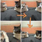 ヒメ日記 2026/04/08 11:52 投稿 流川　まなみ スッキリ商事