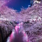 ヒメ日記 2026/04/09 14:08 投稿 流川　まなみ スッキリ商事