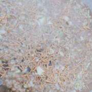 ヒメ日記 2025/02/16 08:24 投稿 もも ANNEX（アネックス）