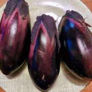 ヒメ日記 2025/03/06 23:07 投稿 もも ANNEX（アネックス）