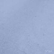 ヒメ日記 2025/03/19 06:07 投稿 もも ANNEX（アネックス）