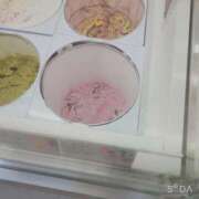 ヒメ日記 2025/03/27 11:32 投稿 もも ANNEX（アネックス）