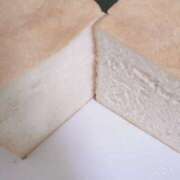 ヒメ日記 2025/09/17 23:48 投稿 もも ANNEX（アネックス）