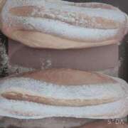 ヒメ日記 2026/02/01 07:54 投稿 もも ANNEX（アネックス）