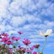 ヒメ日記 2025/06/19 08:25 投稿 れい スピード難波店