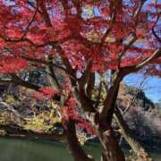 ヒメ日記 2024/12/11 09:14 投稿 立花 人妻風俗チャンネル