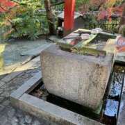 ヒメ日記 2024/12/11 09:07 投稿 立花 人妻風俗チャンネル