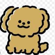 ヒメ日記 2025/01/18 13:04 投稿 立花 人妻風俗チャンネル