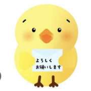 ヒメ日記 2025/01/27 12:20 投稿 立花 人妻風俗チャンネル