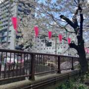 ヒメ日記 2025/04/04 16:18 投稿 立花 人妻風俗チャンネル