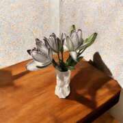 ヒメ日記 2025/04/11 13:38 投稿 立花 人妻風俗チャンネル