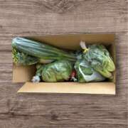 ヒメ日記 2025/04/18 11:35 投稿 立花 人妻風俗チャンネル