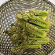 ヒメ日記 2025/04/25 08:54 投稿 立花 人妻風俗チャンネル