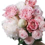 ヒメ日記 2025/05/18 10:14 投稿 立花 人妻風俗チャンネル